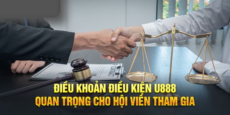 Điều Khoản Điều Kiện