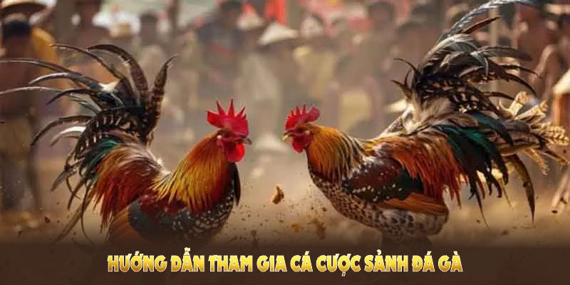 Hướng dẫn tham gia cá cược sảnh đá gà U888 thuận tiện