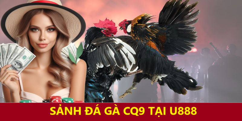 sảnh đá gà CQ9