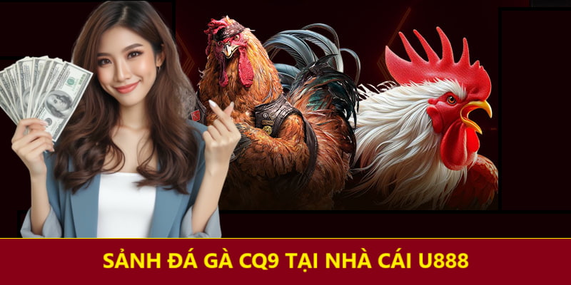 Sảnh đá gà CQ9 thịnh hành tại U888